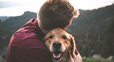 8 Ways That Dogs Help in Addiction Recovery