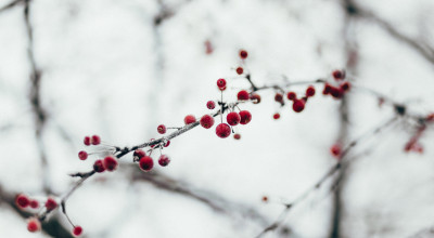 Telltale Signs Your Loved One May Have Relapsed During the Holidays