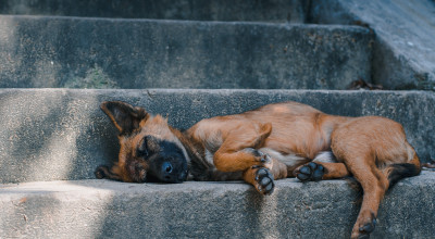 How To Get A Better Night's Sleep